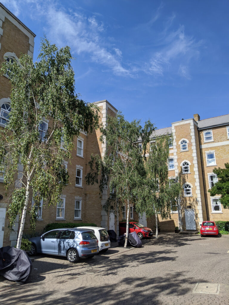 Raleigh Court Image